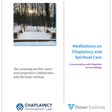 Fetzer ebook cover