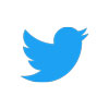 twitter logo 100x100