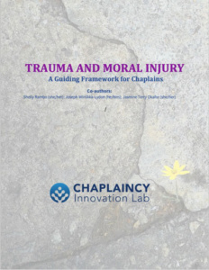 Trauma-eBook-cover-thumb-no-dates-400x518