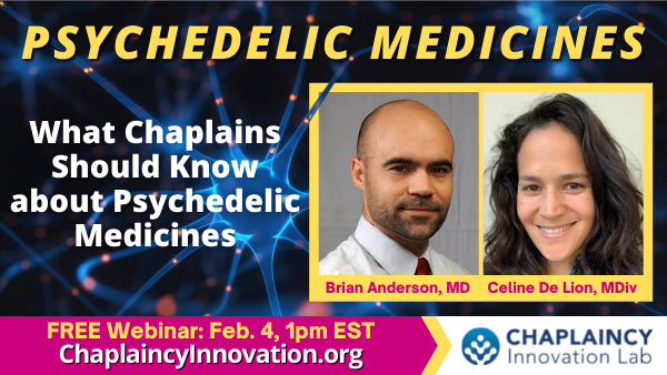 what chaplains should know about psychedelic medicines 