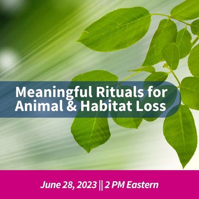 Meaningful Rituals for Animal and Habitat Loss