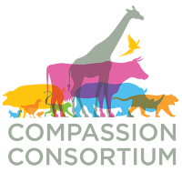 2025-05-08 SPONSOR LOGO